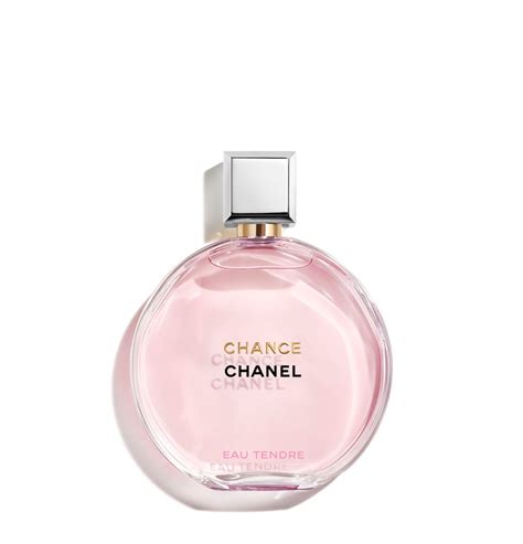 chanel waterfles|Chanel perfume macy's.